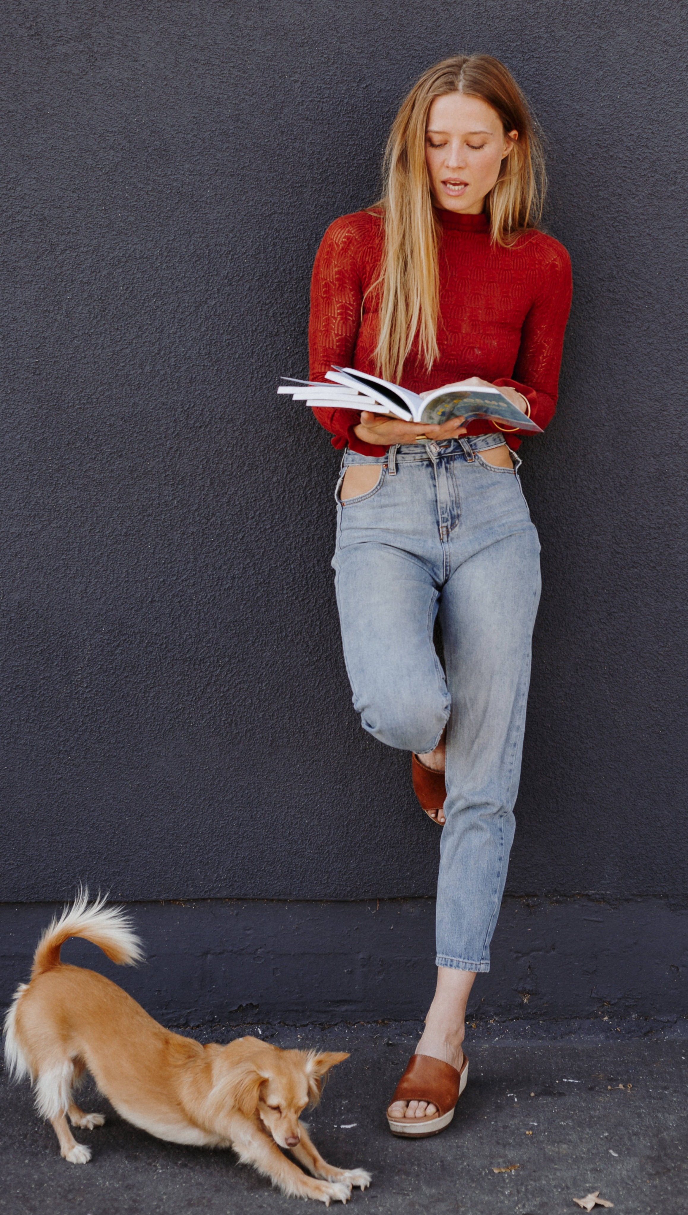 copyrighted V. Ferkic 